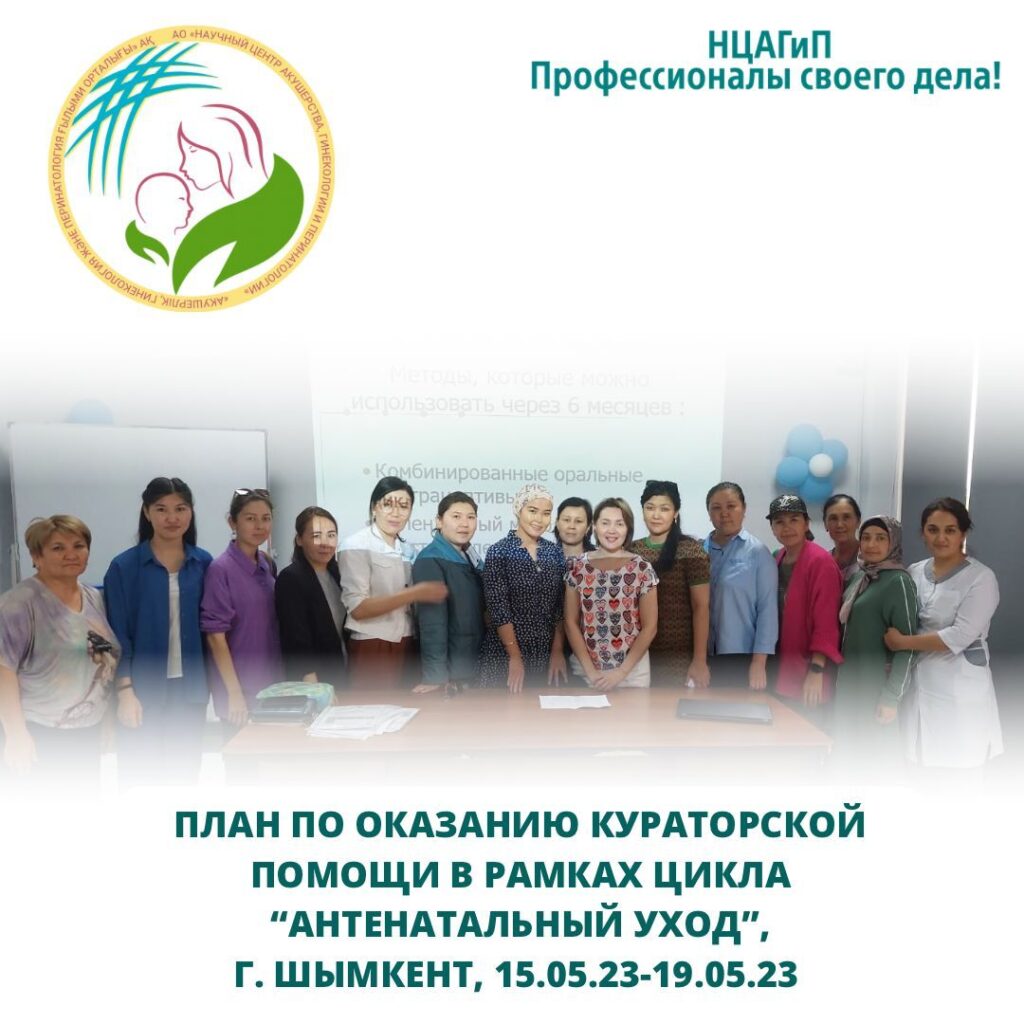 План по оказанию кураторской помощи регионам Казахстана: Шымкент